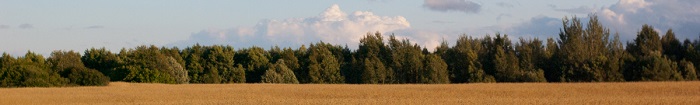 Chavusy district of Belarus