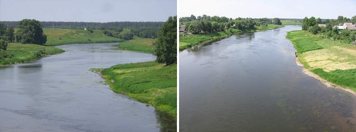 Дубровно